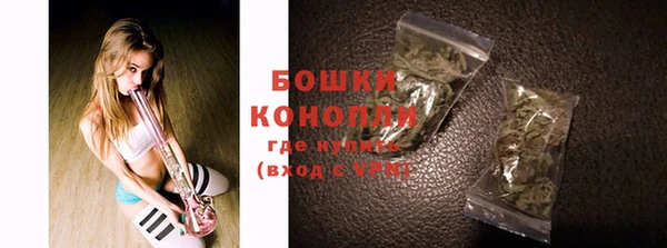 ГАЛЛЮЦИНОГЕННЫЕ ГРИБЫ Строитель