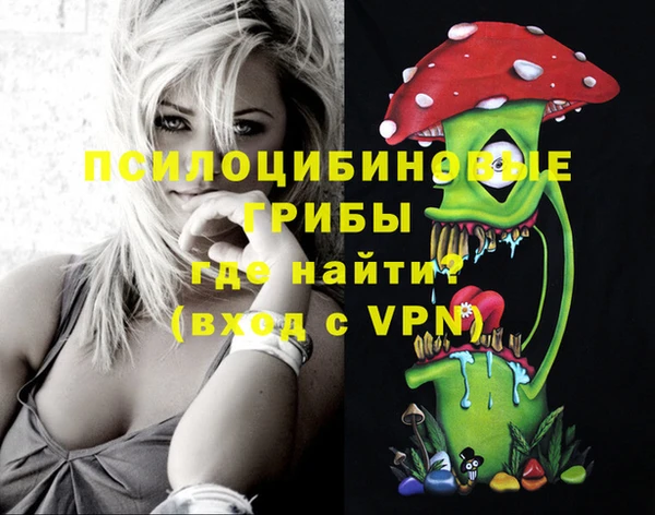 гидропоника Струнино