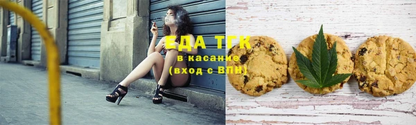 ГАЛЛЮЦИНОГЕННЫЕ ГРИБЫ Строитель