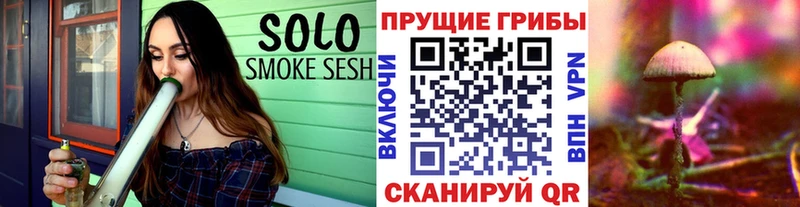 что такое наркотик  Волчанск  Псилоцибиновые грибы ЛСД 